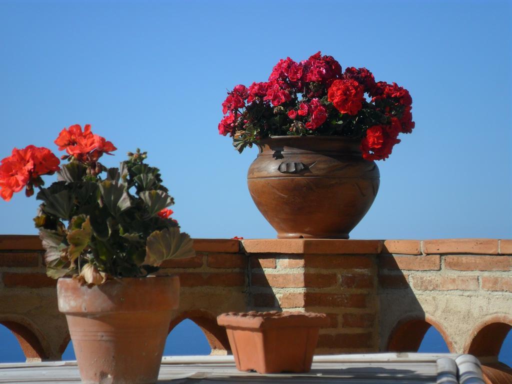Quiete Bed & Breakfast
